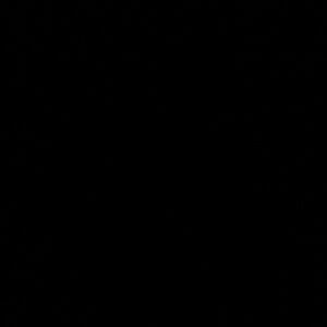 Meet your Posher, Allisyn